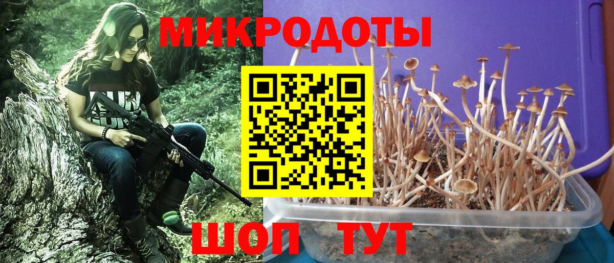 Орск  Галлюциногенные грибы Cubensis  Псилоцибиновые грибы мухоморы  Вход с VPN 